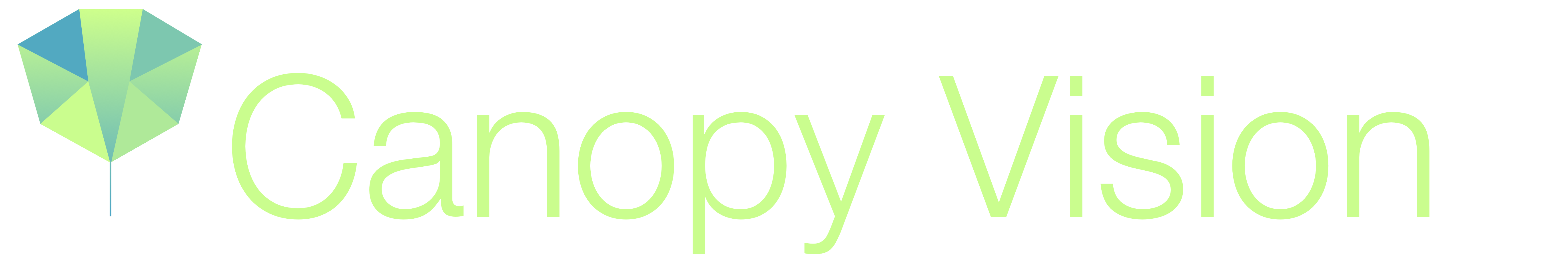 Canopy Vision Logo